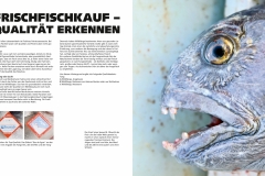 Das Meer – Frischfischverkauf