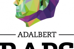 Logo RAPS