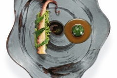 Oktopus-·-Ponzu-·-Baerlauch