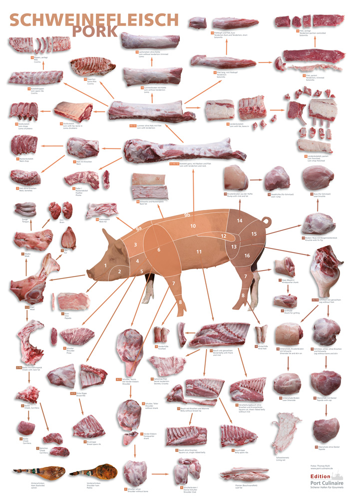 Warenkundeposter Schweinefleisch DIN A1 – Port Culinaire GmbH cuts of swine diagram 